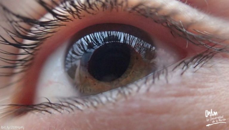 Expertos de la UNAM identifican proteínas que ayudarán al diagnóstico temprano del glaucoma