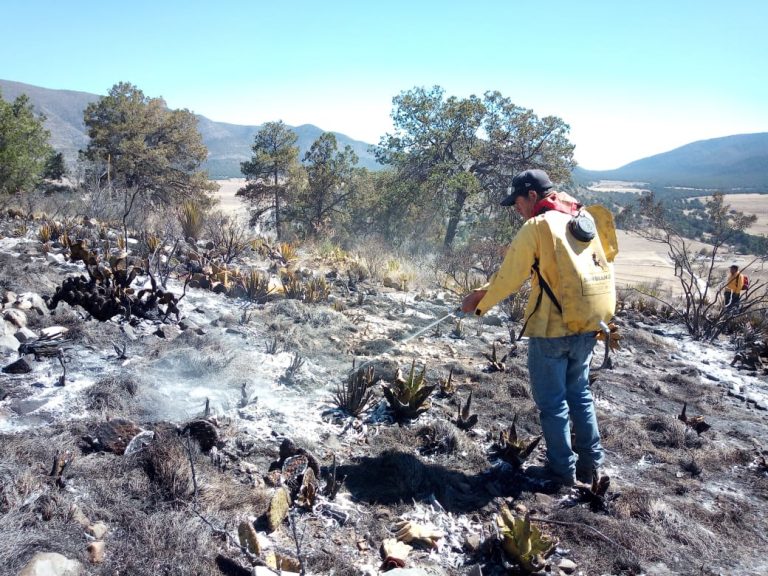 Extinguen incendio forestal en ejido Cuauhtémoc, en Saltillo