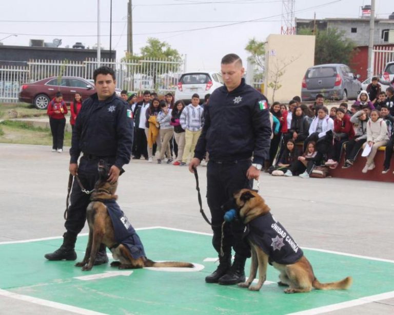 Incorporan ocho elementos caninos más a labores de seguridad en Saltillo