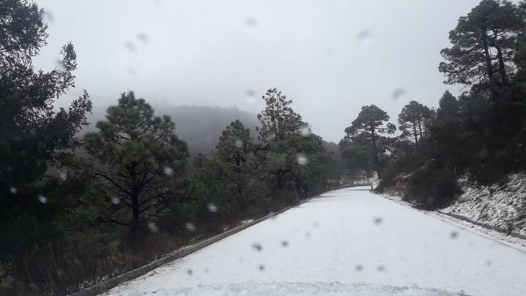 A dos días de la primavera, granizada pinta Arteaga de blanco