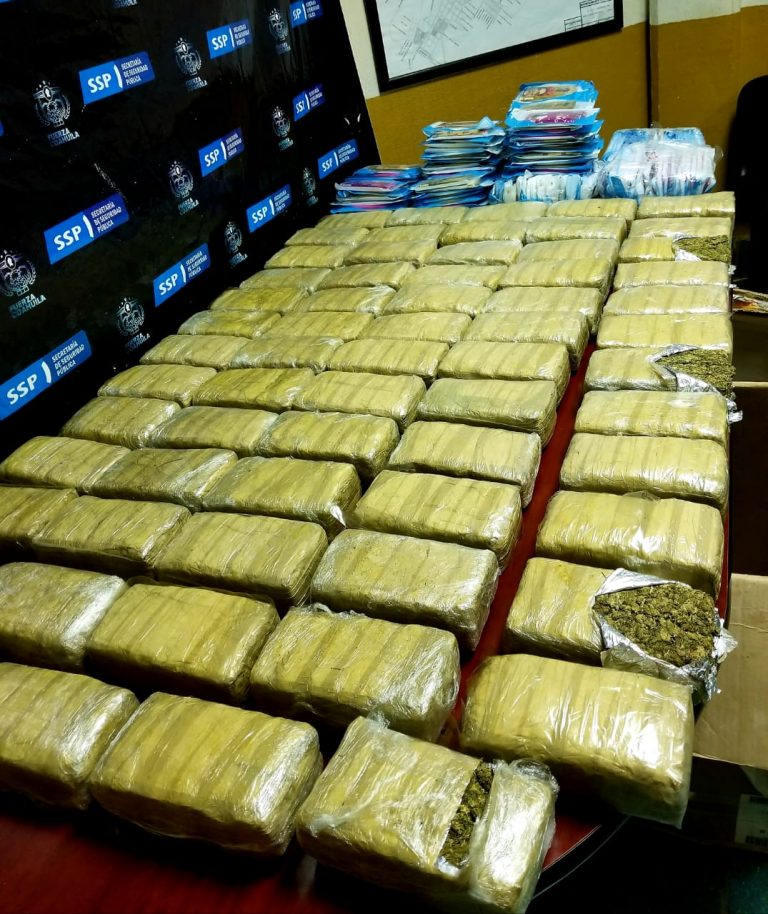 Aseguran 140 kilos de mariguana en diversos operativos en Coahuila