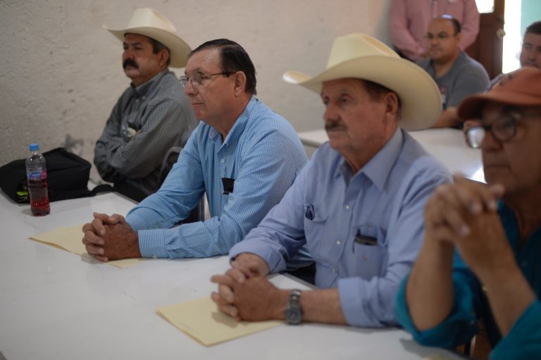 Capacita Coahuila a productores del campo para aretado de ganado