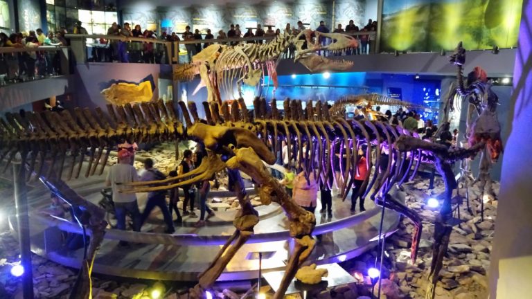 Este 30 de abril paga un adulto y entran tres niños gratis al MUDE