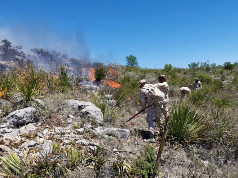 Exhortan a coahuilenses y turistas a no encender fogatas en espacios naturales