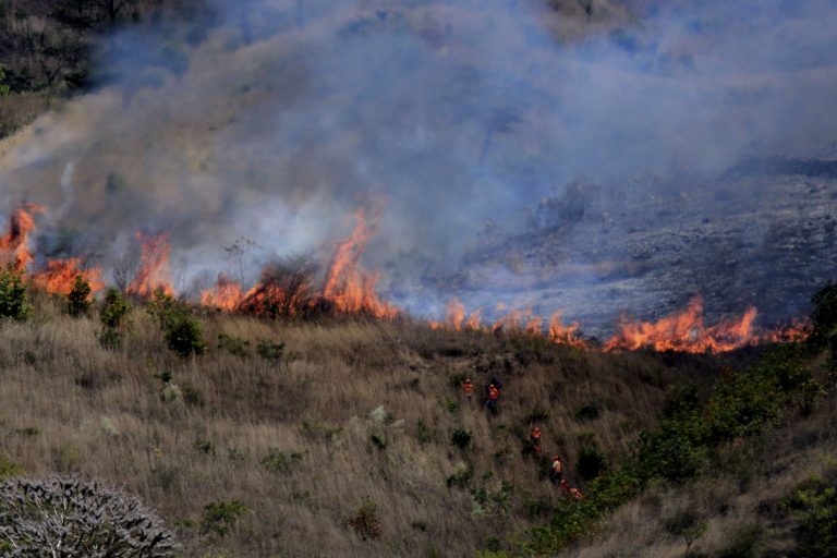 Incendio forestal en China deja al menos 30 muertos