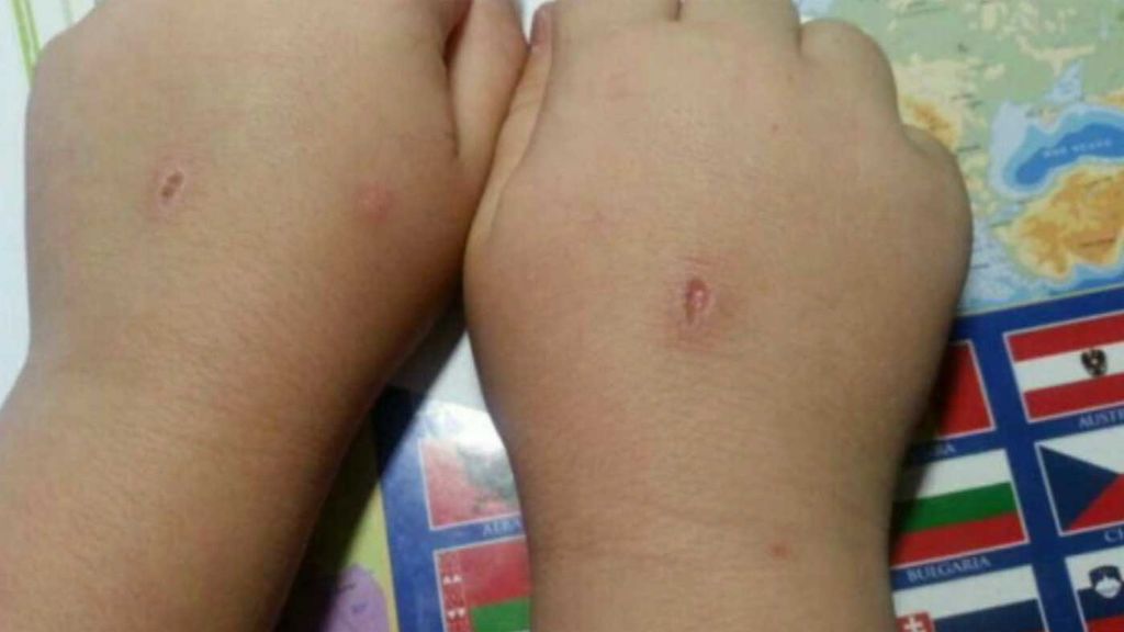 “el Abecedario Del Diablo” El Nuevo Reto Viral Que Pone En Riesgo A Los Niños