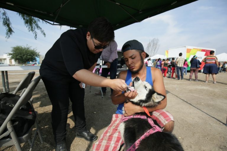 Realizan en Ramos Arizpe campaña de esterilización de mascotas