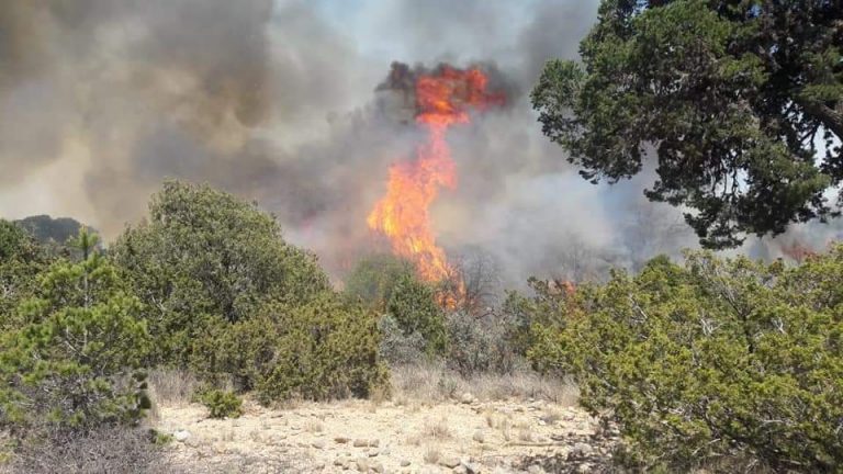 Combaten incendio forestal ‘extremo’ en San Juan de la Vaquería, en Saltillo