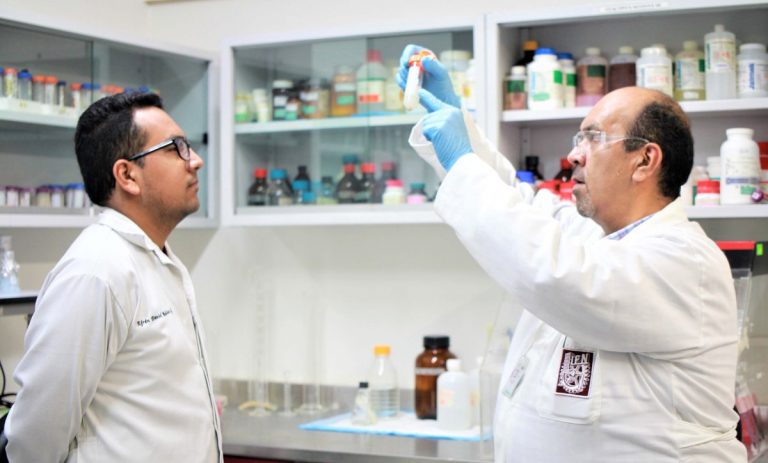 Investigadores mexicanos crean bioinsecticida capaz detener mosco transmisor dengue, Chikungunya y zika