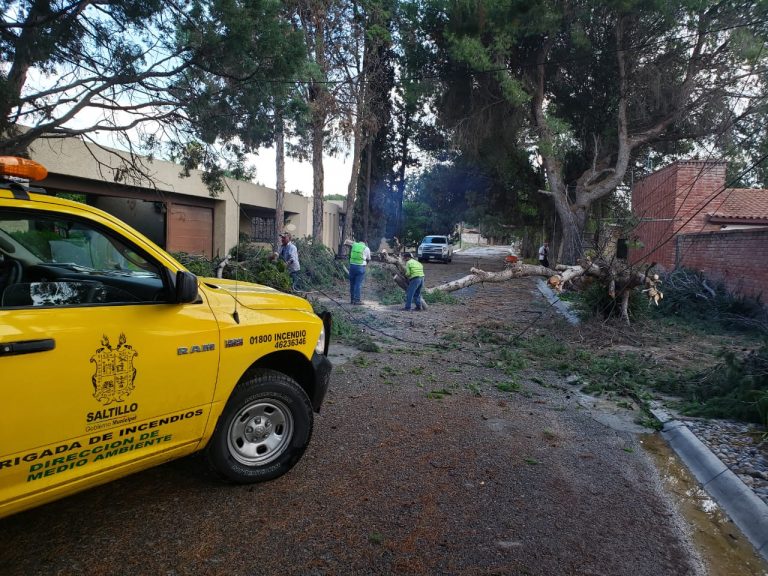 Atiende Gobierno Municipal daños por lluvia y ventarrones