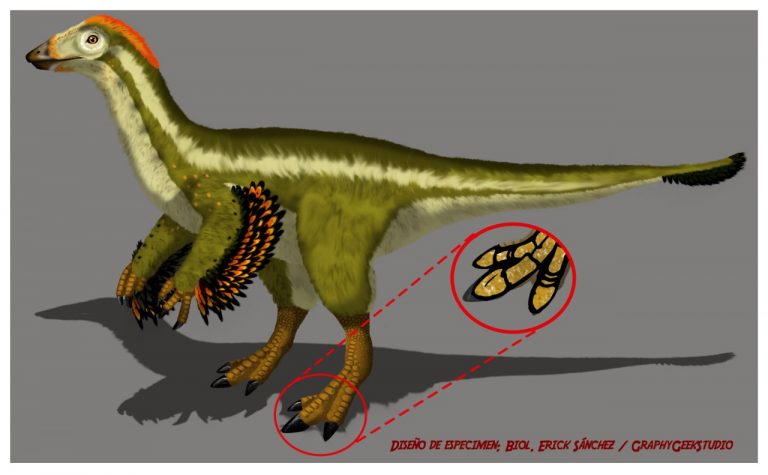 Descubren nuevos restos de dinosaurios que habitaron Coahuila