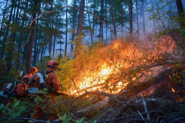 Plantean necesidad de alerta temprana para incendios forestales