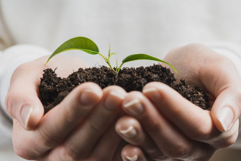 Convocan a universitarios a participar en concurso de video que refleje el cuidado y preservación del medio ambiente