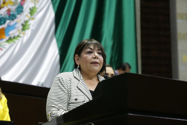 Propone la diputada Martha Garay modificaciones a la ley para garantizar la accesibilidad a espacios de uso público