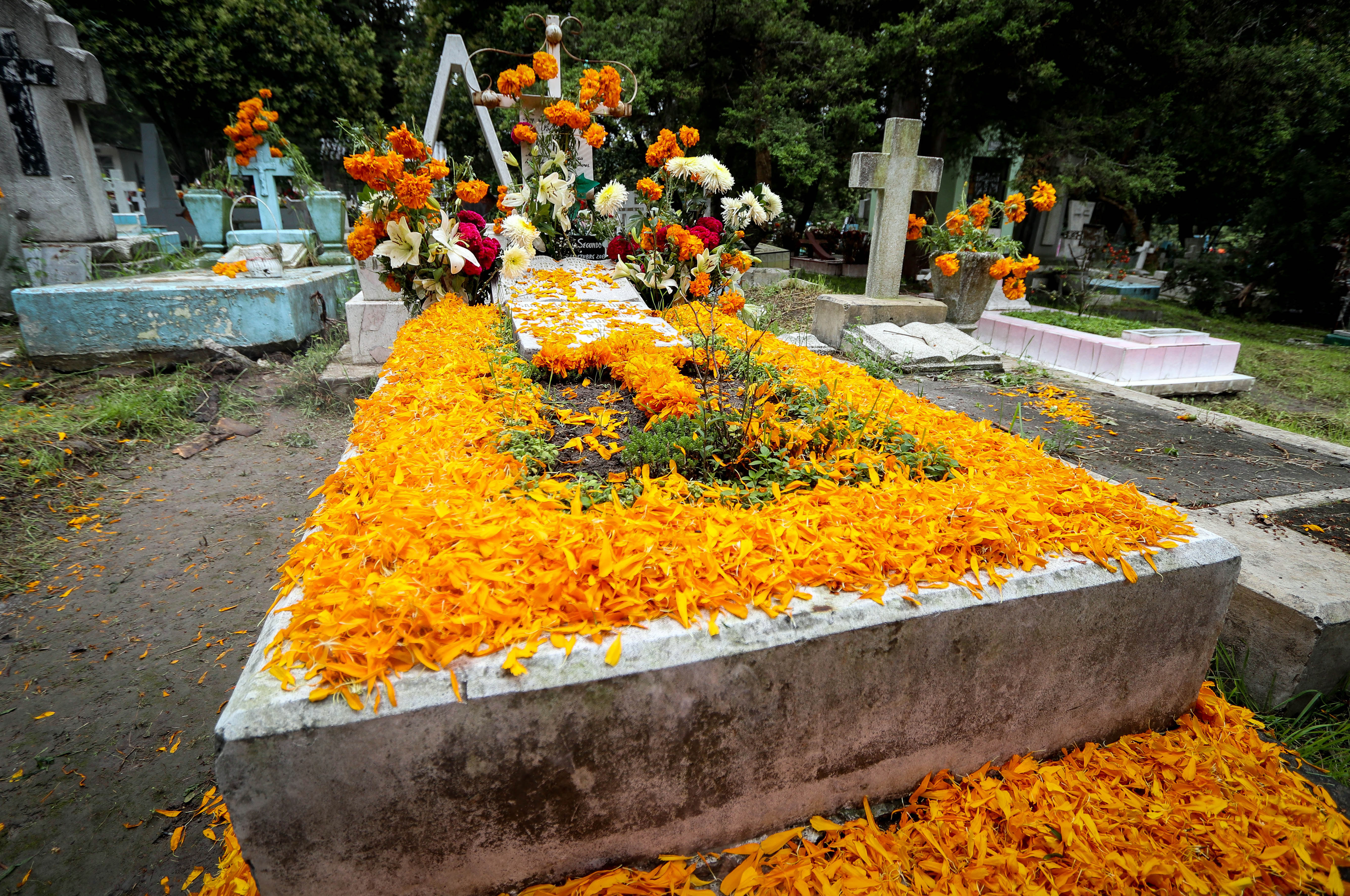 Flor de cempasúchil, ícono del día de muertos | El Heraldo de Saltillo