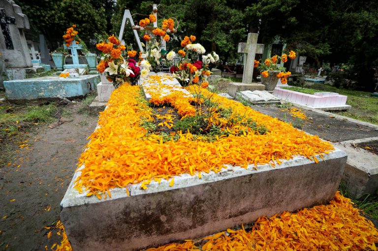 Flor de cempasúchil, ícono del día de muertos