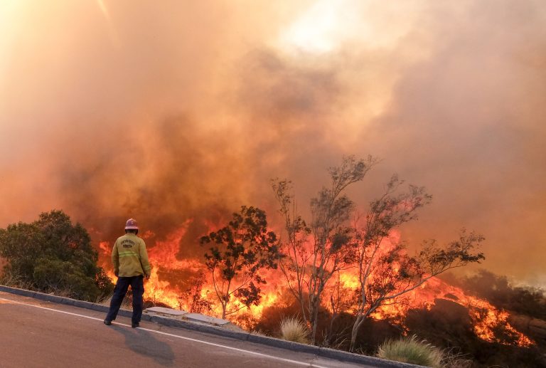 Investigadores desarrollan gel que podría prevenir incendios forestales