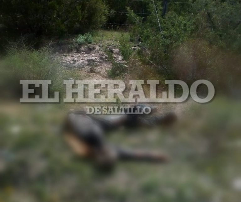 Investigan muerte de hombre en Sierra de Arteaga; Podría tratarse de un ejecutado