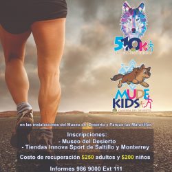 d2ab8283-8528-40cc-ba54-d724d2e309a6