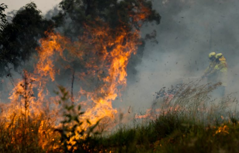 Asciende a 21 cifra de muertos por incendios en Australia