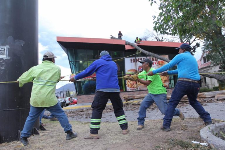 Atiende municipio reportes por fuertes vientos