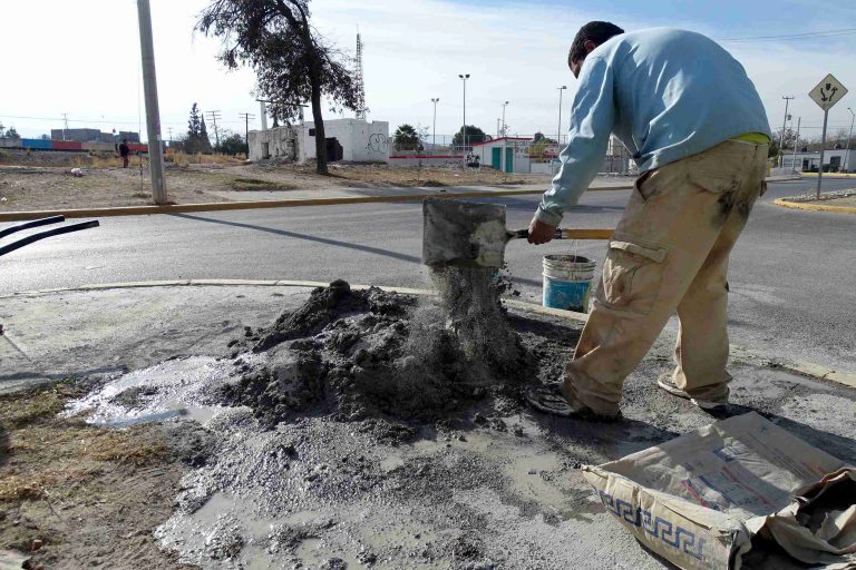 Se embellece camellón en colonia El Cura