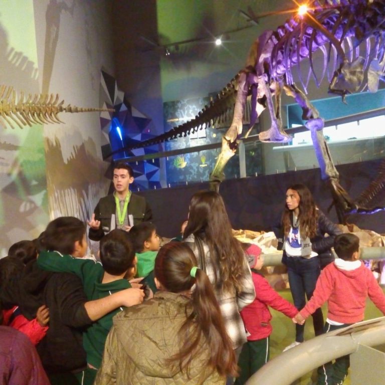 Disfrutan niños de visita guiada por el Museo del Desierto a través del programa “Turismo en tu Ciudad, un Recorrido de Solidaridad”