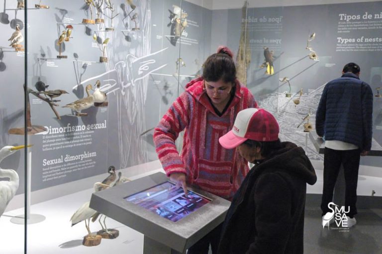 Este 1 de enero estará abierto al público el Museo de las Aves