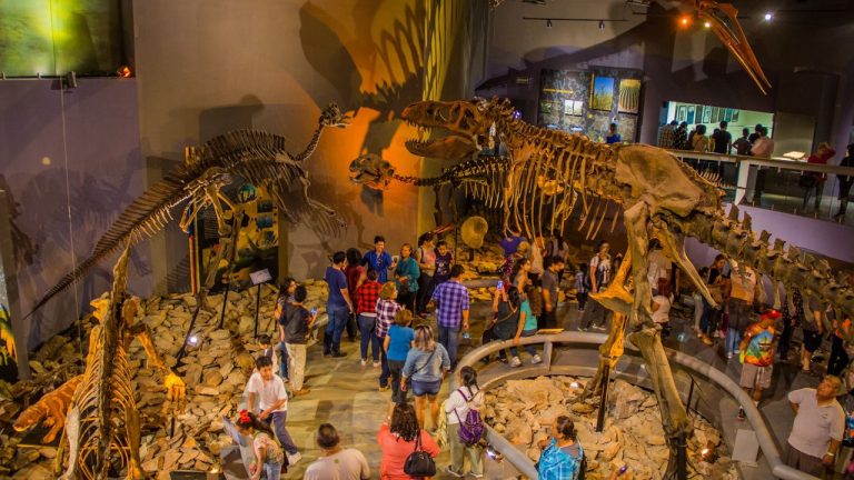 Museo del Desierto opción para vacacionistas que no deja de impresionar