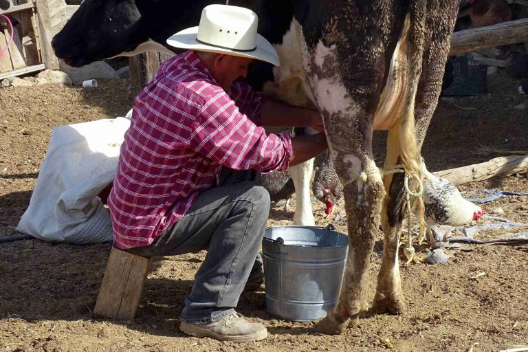 Campesinos agradecen a Chema; “si nos cumplió”, aseguran