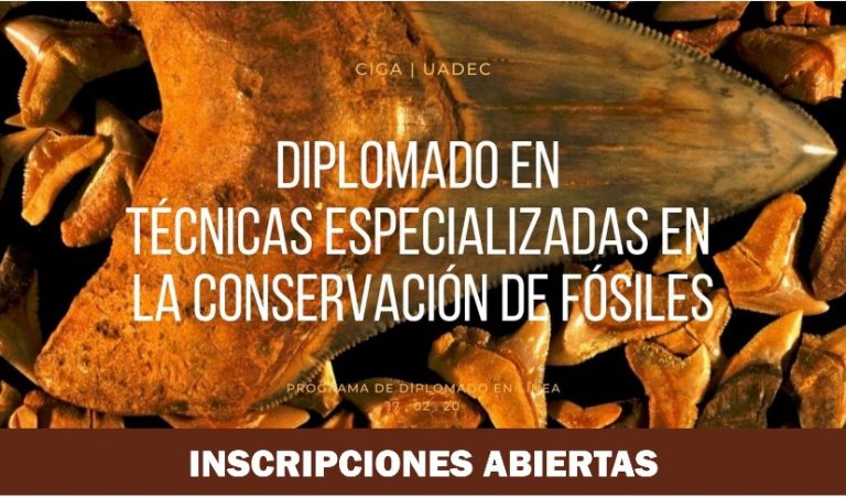 Convoca UA de C a ser parte del Diplomado en Técnicas Especializadas en la Conservación de Fósiles