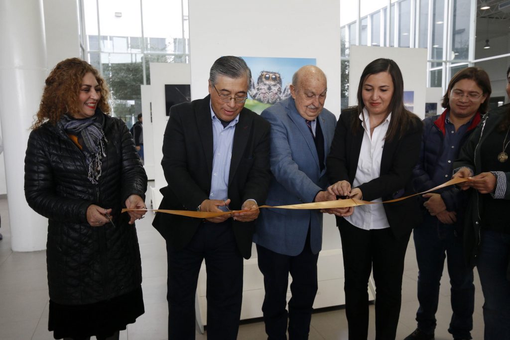 Celebra Infoteca Campus Arteaga su cuarto aniversario con la exposición ...