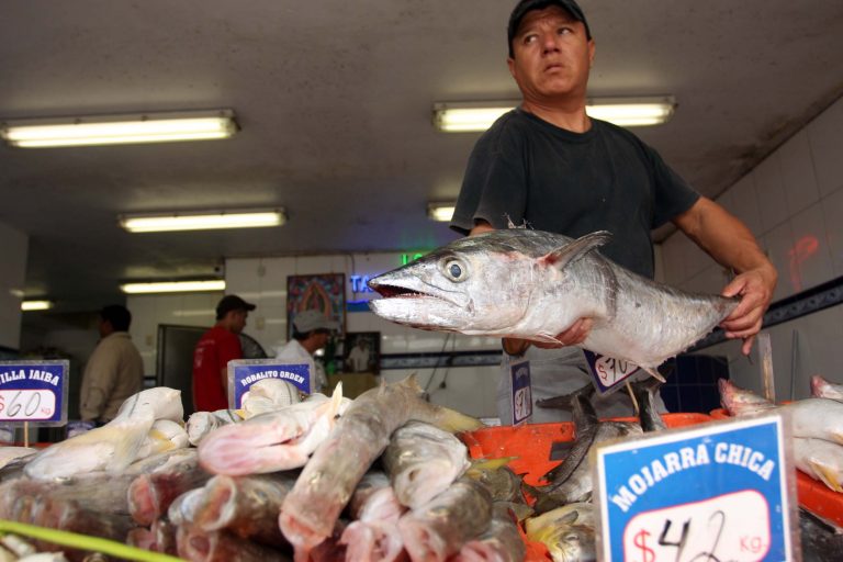 La higiene es fundamental en la preparación y consumo de alimentos de cuaresma: IMSS