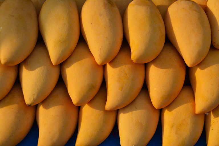 Científicos chinos mapean secuenciación del genoma del mango