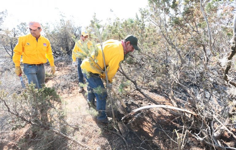 Coahuila reforzará con Brigadas Rurales la prevención y combate a incendios forestales