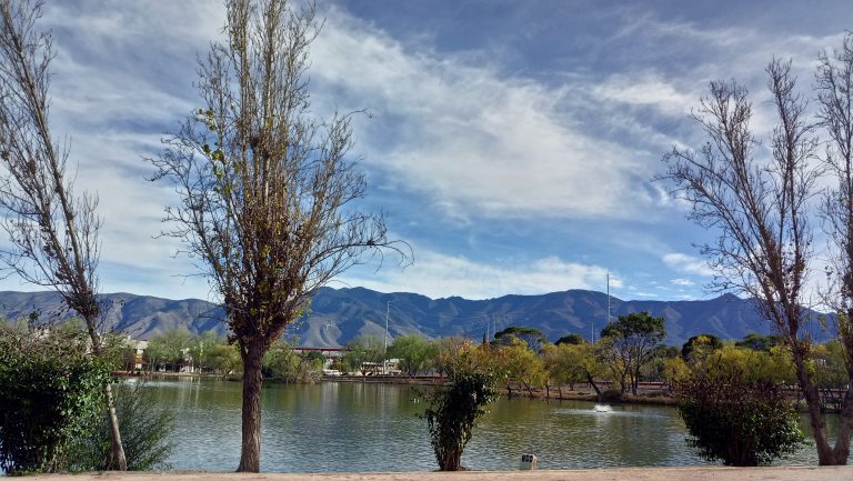 Protege INEDEC avifauna del lago de la Ciudad Deportiva