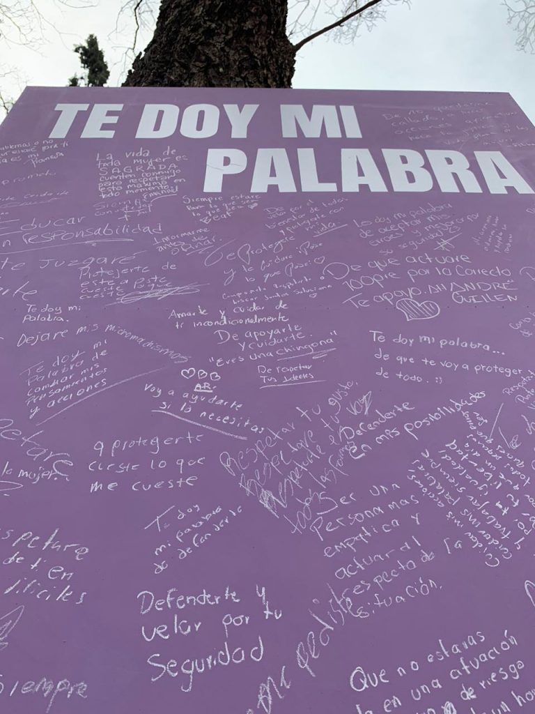 Te doy mi palabra: responden hombres a mujeres en la Universidad Carolina