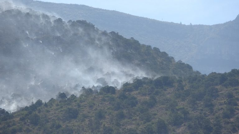 Avanzan en dos de tres incendios; el de NL aún amenaza