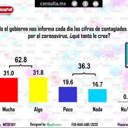 consulta (6)