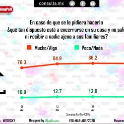 consulta (8)