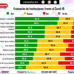 consulta (9)