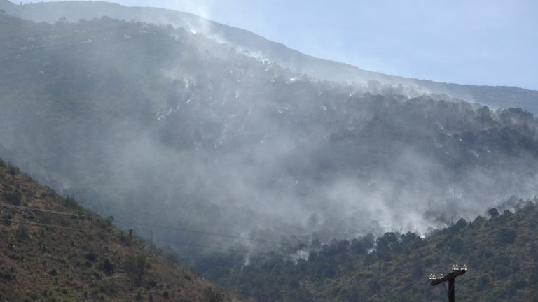 Prácticamente liquidado incendio en Los Chorros; da a conocer Municipio de Arteaga   