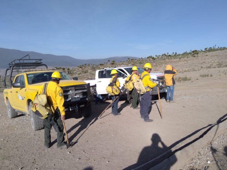 Suben en helicóptero brigadistas forestales en Ciénega del Toro