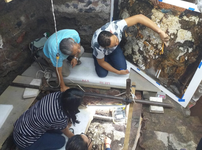 Hallan restos de pepinos de mar en ofrenda mexica