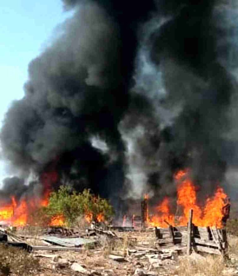 Incendio en criadero de marranos en Ramos Arizpe deja pérdidas materiales