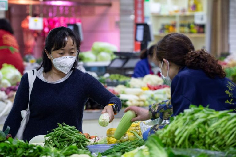 Los alimentos en una contingencia