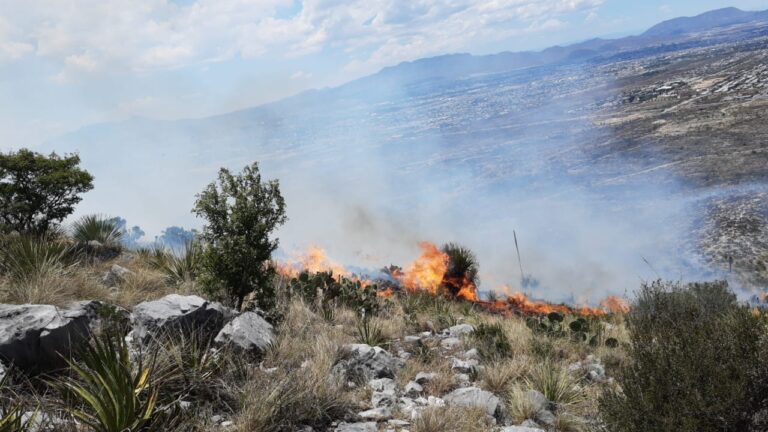 Se incendia Sierra de Zapalinamé; habría sido por descuido humano