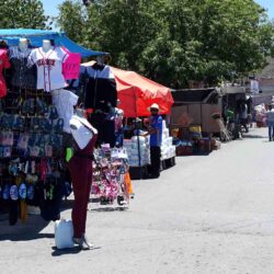 Reanudan+comerciantes+ambulantes+actividad+en+mercado+de+la__+Guayulera+1