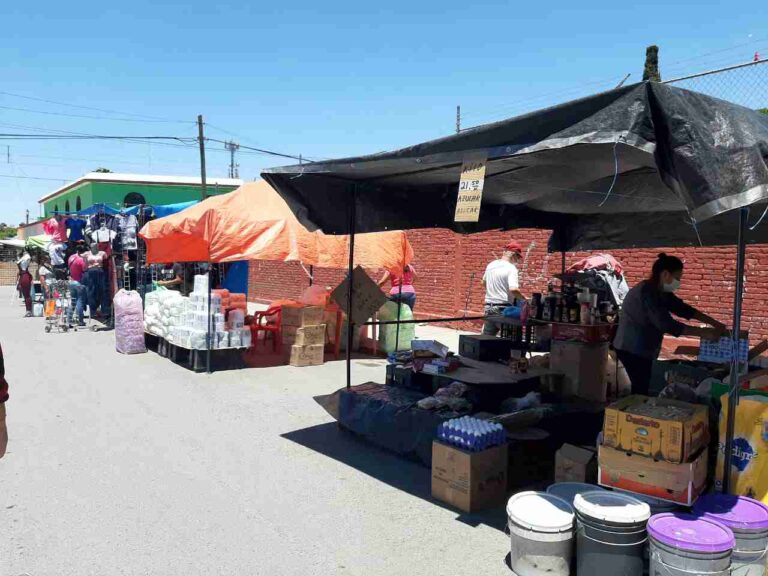 Reanudan comerciantes ambulantes actividad en mercado de la Guayulera