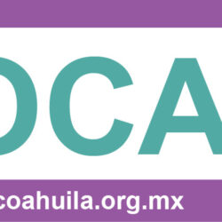 Zocalo Banner 750×100
